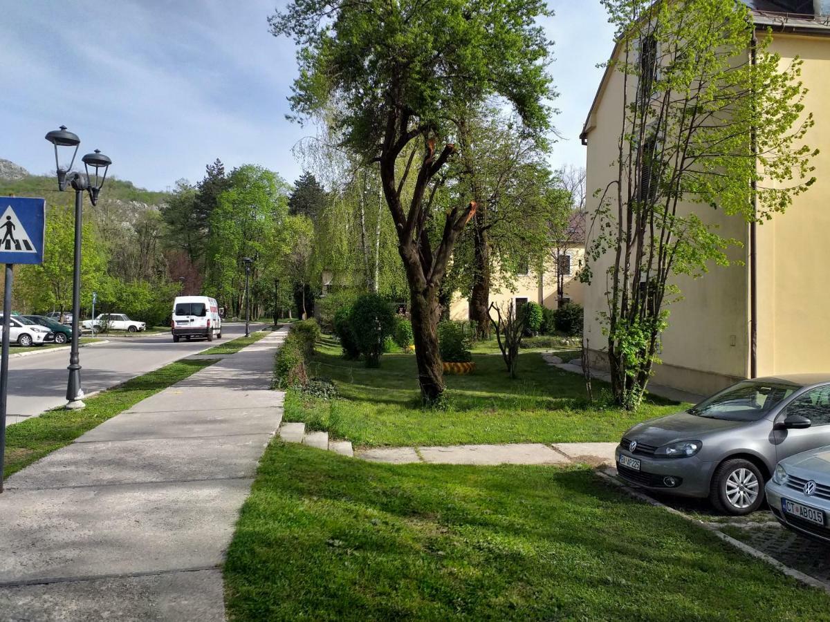 Апартаменти Apartman Donji Kraj Цетинє Екстер'єр фото
