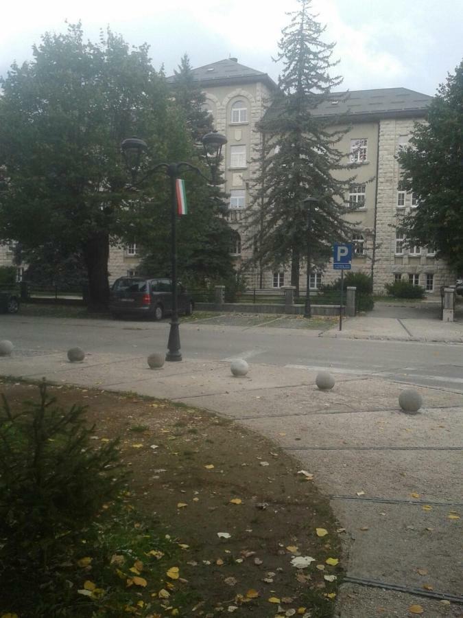 Апартаменти Apartman Donji Kraj Цетинє Екстер'єр фото