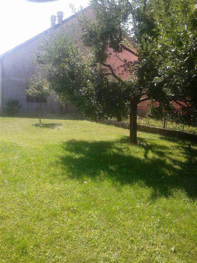 Апартаменти Apartman Donji Kraj Цетинє Екстер'єр фото